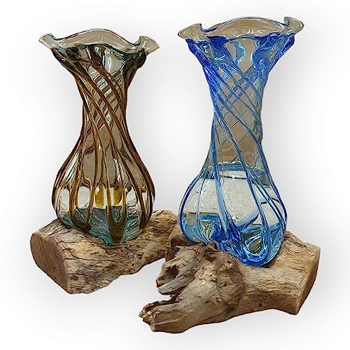 Geschmolzene Glas Vase auf Wurzelholz - Glas mit blauen oder braunen Streifen auf Einer Teak Wurzel - Teak Holz mit Glasvase für Schnittblumen