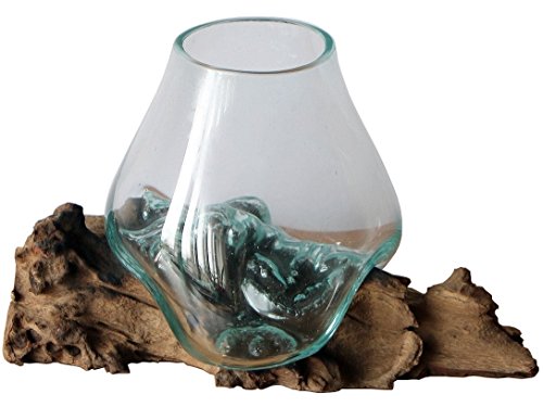 Geschenk-Idee für Weihnachten, Geburtstag als Deko Gamal Glas-Vase Ø Glas 15-16 cm auf Wurzel-Holz Teakholz Glas M